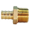 Apollo Pex 1/2 in. Brass PEX Barb x Male Pipe Thread Adapter Jar (25-Pack), 25PK APXMA1225JR